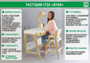 Комплект растущий стол и стул с чехлом 38 попугаев «Вуди» (Серый, Береза, Салют) в Стрежевом - strezhevoj.mebel-74.com | фото