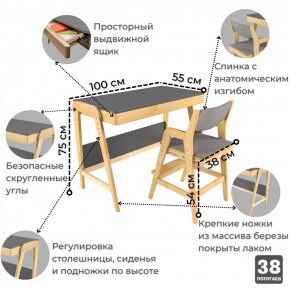 Комплект растущий стол и стул с чехлом 38 попугаев «Вуди» (Серый, Береза, Серый) в Стрежевом - strezhevoj.mebel-74.com | фото