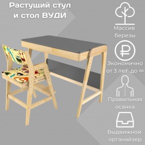 Комплект растущий стол и стул с чехлом 38 попугаев «Вуди» (Серый, Без покрытия, Монстры) в Стрежевом - strezhevoj.mebel-74.com | фото