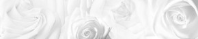 Кухонный фартук Цветы 217 МДФ матовый (3000) Flowers в Стрежевом - strezhevoj.mebel-74.com | фото